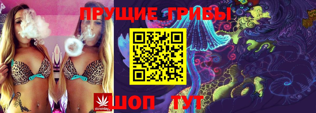 Оренбург  Псилоцибиновые грибы Psilocybe  Вход с VPN  Галлюциногенные грибы Cubensis 