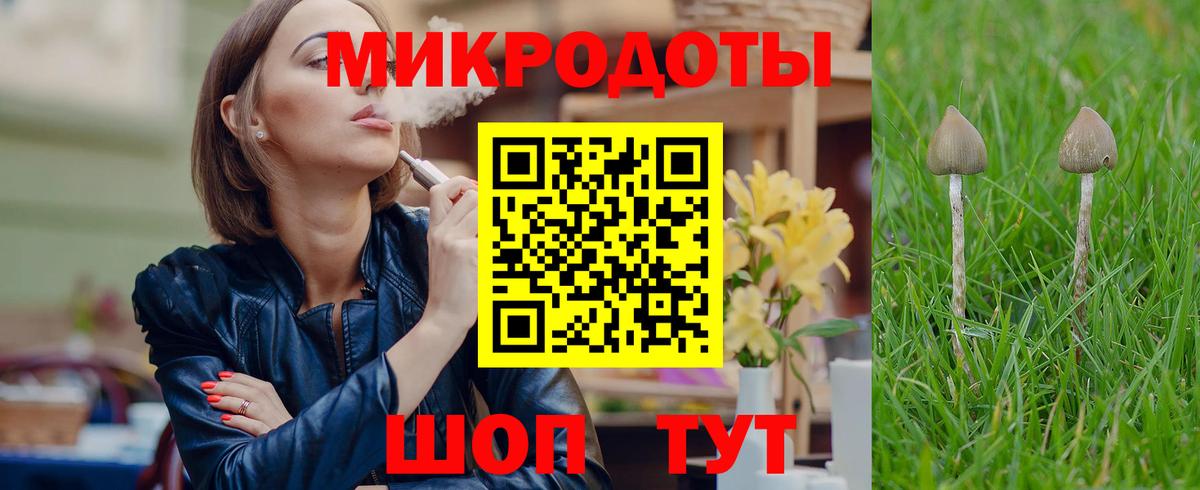 Галлюциногенные грибы Psilocybe Оренбург